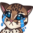 tacxtvSAD