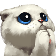 camdarCatcute