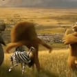 elchic74Madagascar