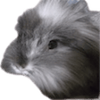 clover270Pookie