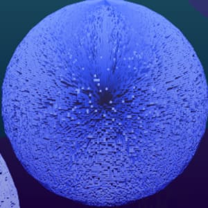 frenchrizzler01