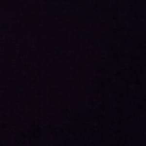 milou_junior