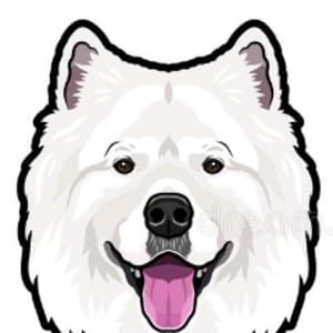 Morti_V2
