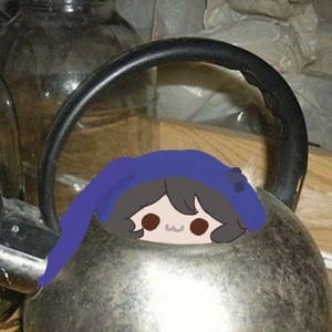 ruru_vt_