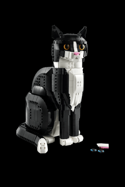 El gato bicolor