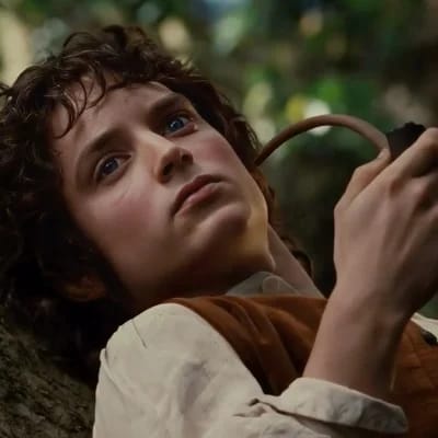 Frodo Bolsón