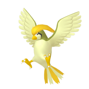 Pidgeotto