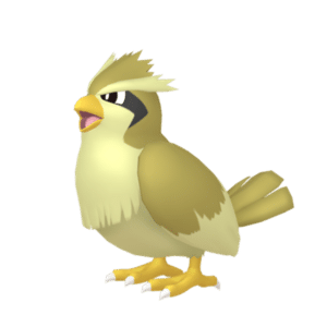 Pidgey