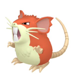 Raticate