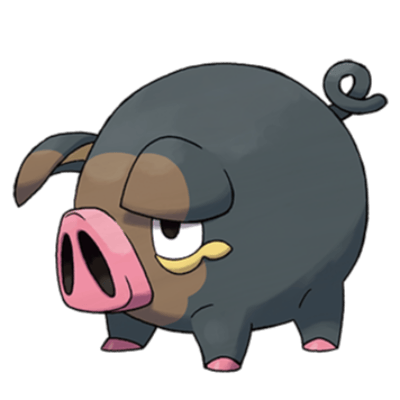 Maialino