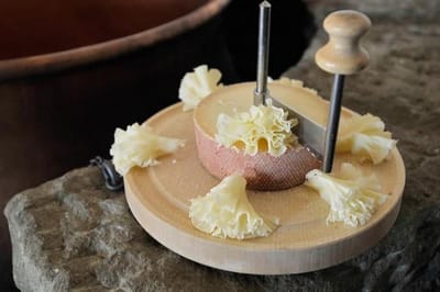 La tête de moine