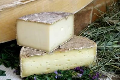 La tomme de vache