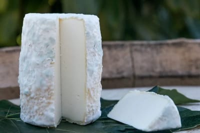 Le charolais