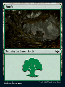 Foresta