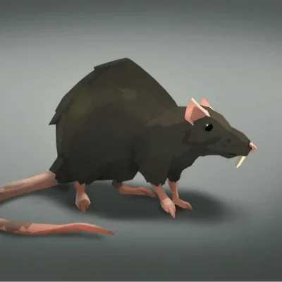 Rato