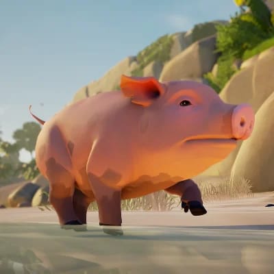 Porco