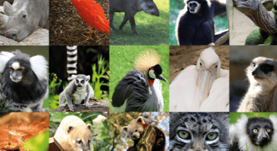 Zoológico