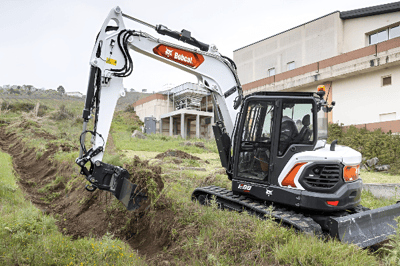 Bobcat