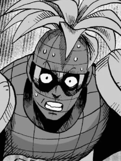 Ananasman