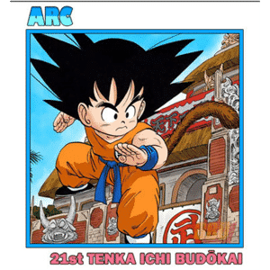 Arco del 21° Tenkaichi Budokai (1° Torneo)