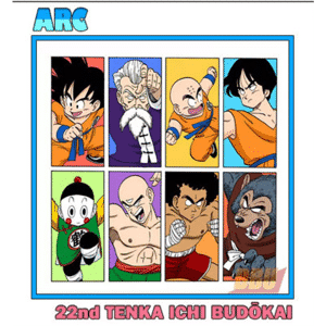 Arco del 22° Tenkaichi Budokai (2° Torneo)