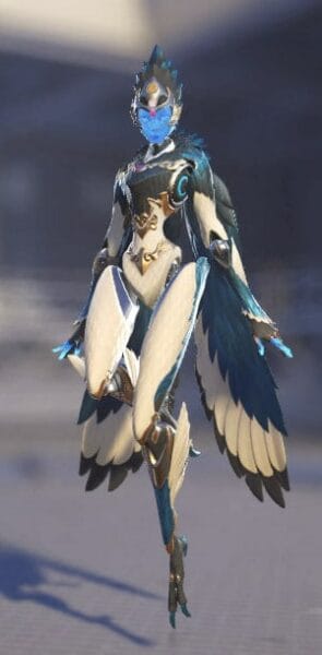 kkachi
