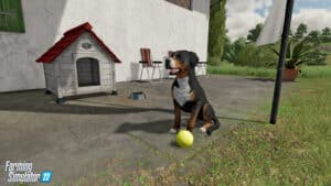 Perro