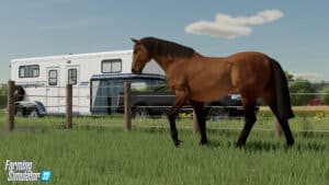Caballos