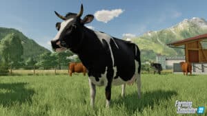 Vacas