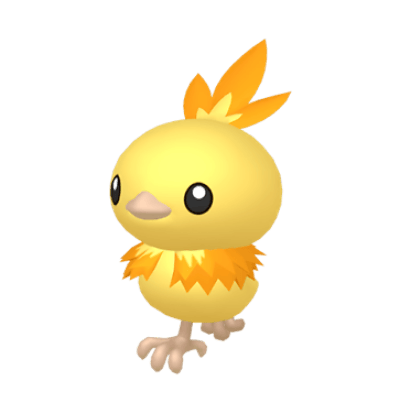 Torchic ✨