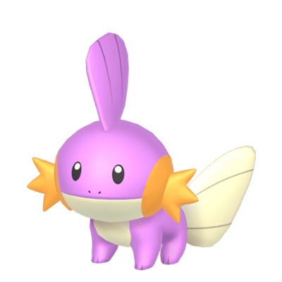 Mudkip ✨