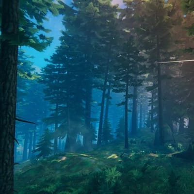 Foresta Nera