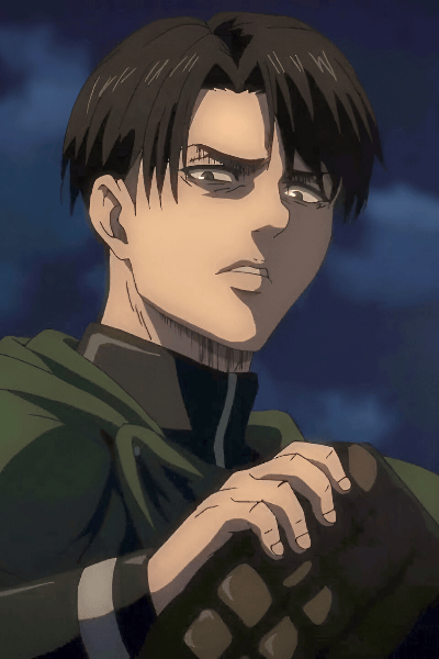 Levi