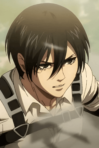 Mikasa
