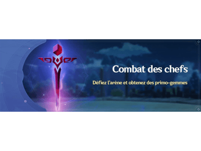 Combat des chefs