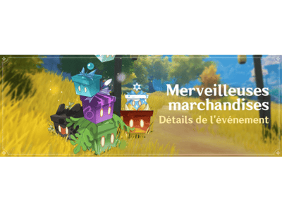 Merveilleuses marchandises