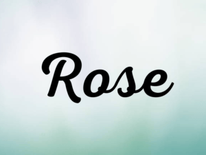 Rose