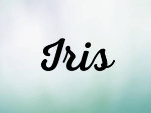 Iris