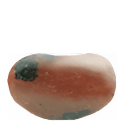 Terre