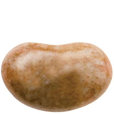 Saucisson