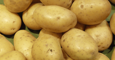 Batatas