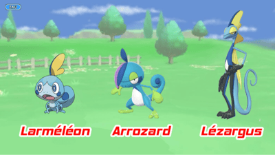 Pokémon