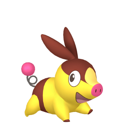 Tepig ✨