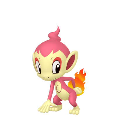 Chimchar ✨