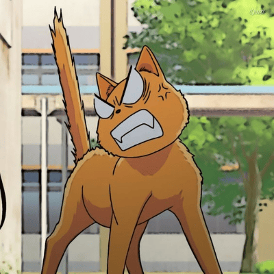 Signo del Gato – Kyo