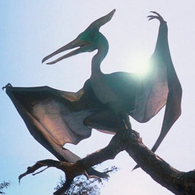 Pteranodonte