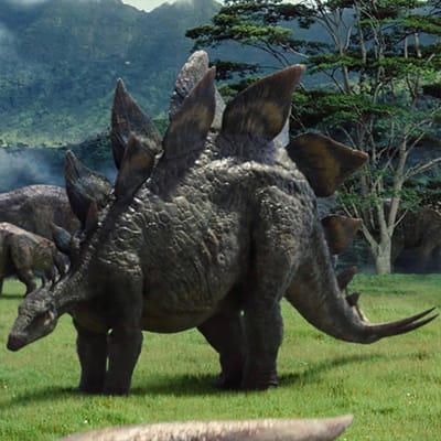 Stegosaurus