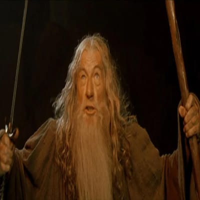 The Lord of the Rings: "You shall not pass!"