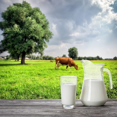 Leche