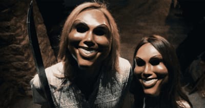 The Purge